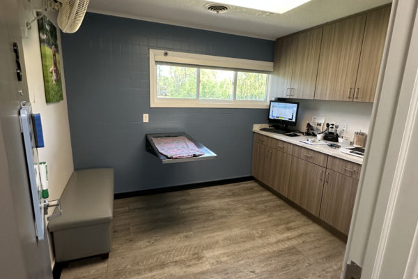 An-Exam-Room