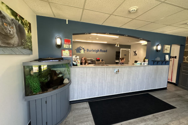 Front-Desk