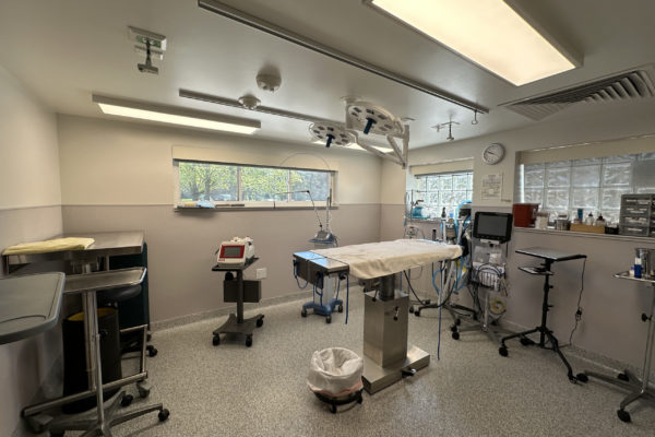 Surgery-Room